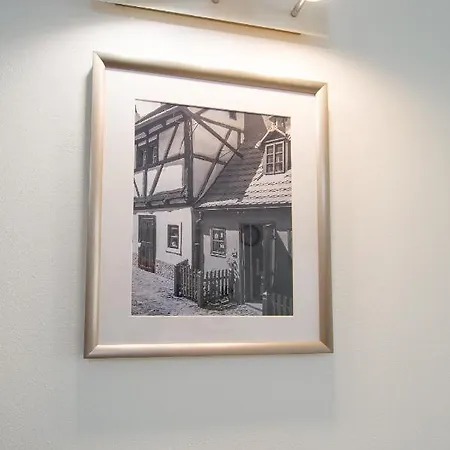 Apartmán Modern Charvátova *